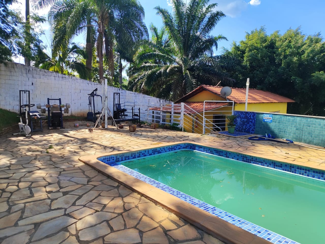 Piscina cercada por vegetação