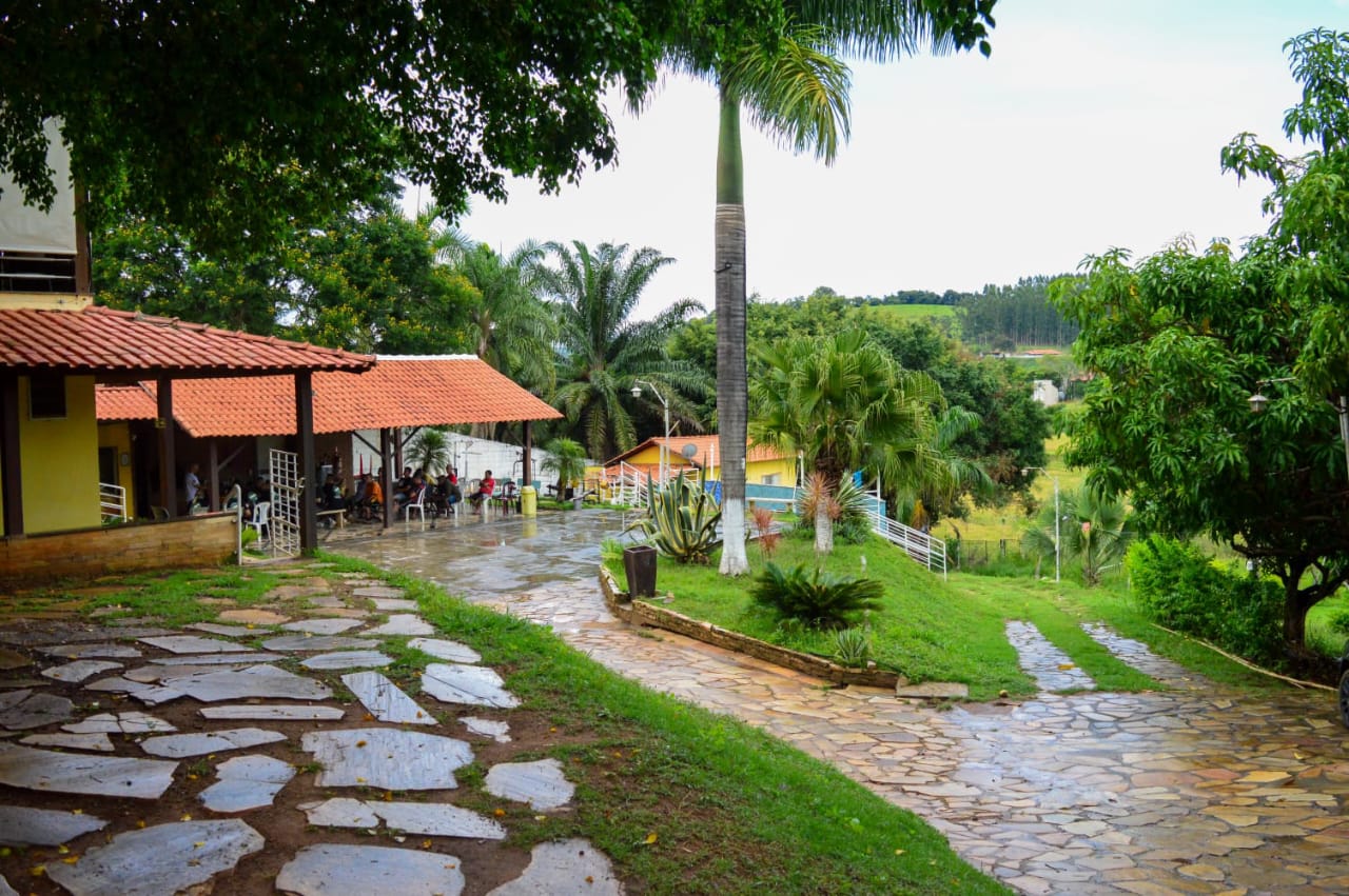 Caminho de pedras entre jardins e palmeiras